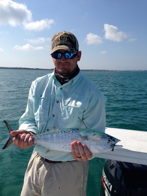 Bonita on the flats of key west